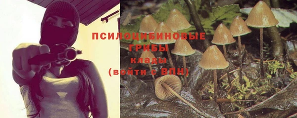 скорость Гусев