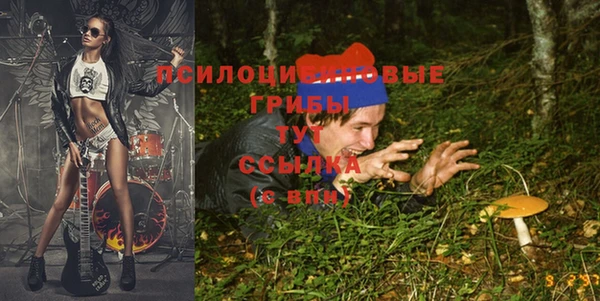 каннабис Гусь-Хрустальный